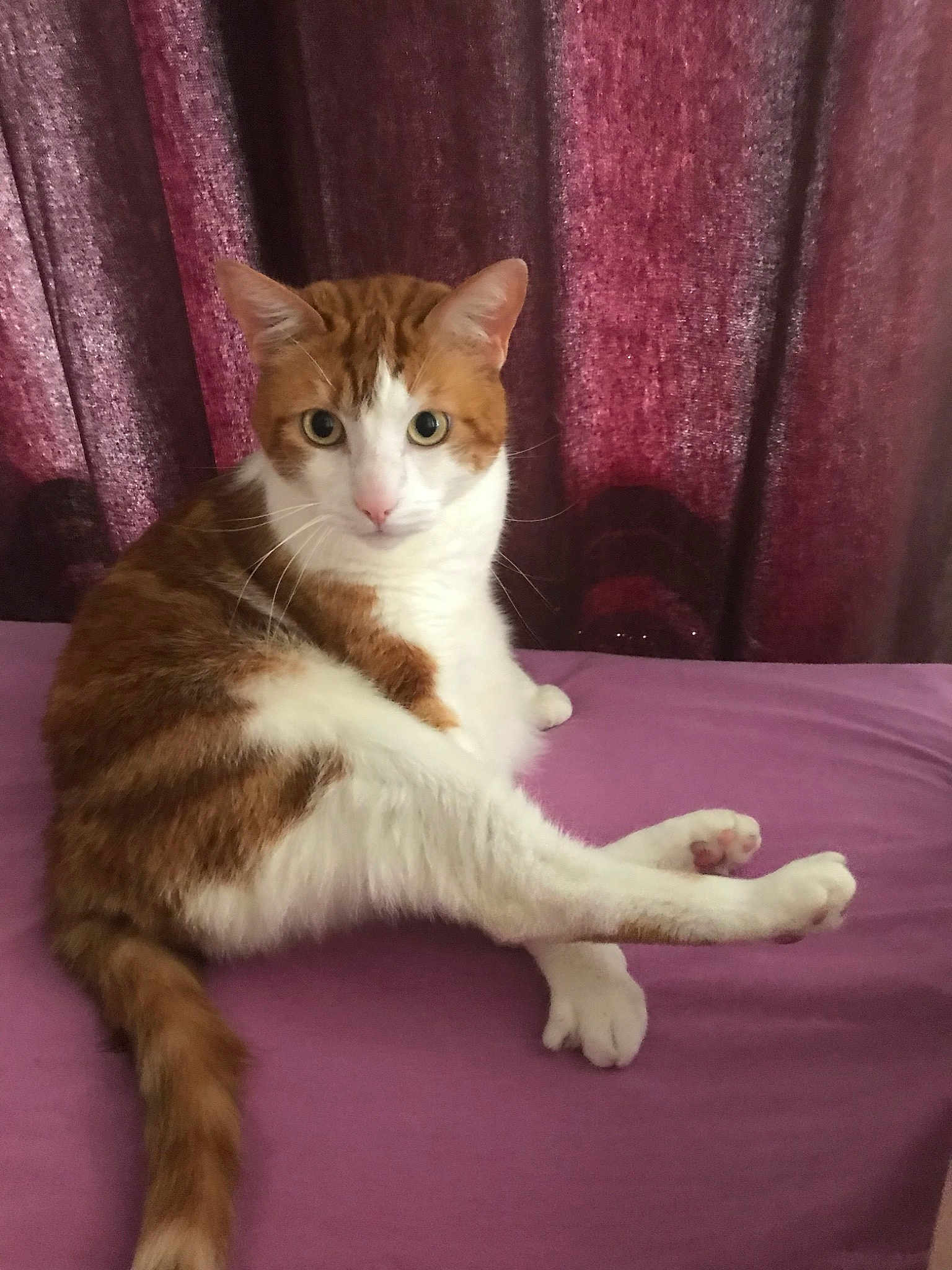 Banzaï