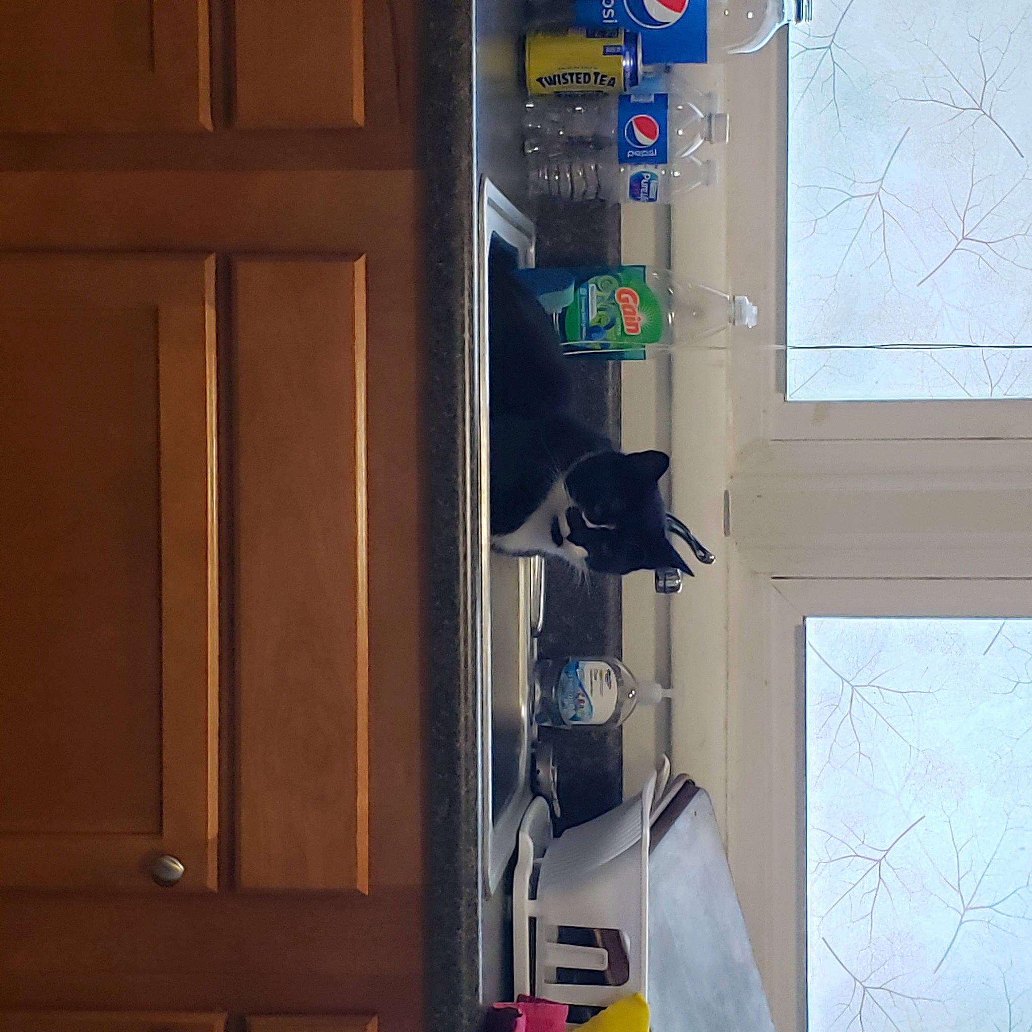 Loki is registered to the contest to win money with this photo: door, door_handle, machine, room, window