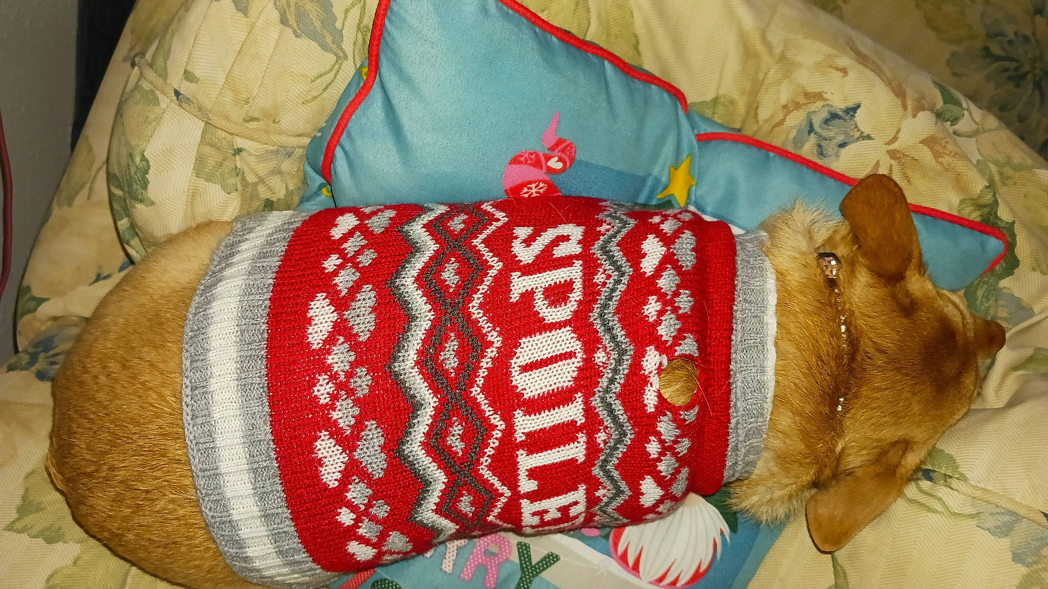 Littlebit is registered to the contest to win money with this photo: art, baby_toddler_clothing, bag, craft, creative_arts, fashion_accessory, fawn, linens, needlework, outerwear, pattern, red, sleeve, textile, thread, toy, wood, wool, woolen, working_animal