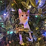 cat, christmas_tree, holiday_lights, pine_needles, orange_cat, white_cat, festive, indoor, pet, curious, decorations, animal, cute, christmas, celebration, tree_branches, glowing_lights, holiday_decor, domestic_cat, christmas_time