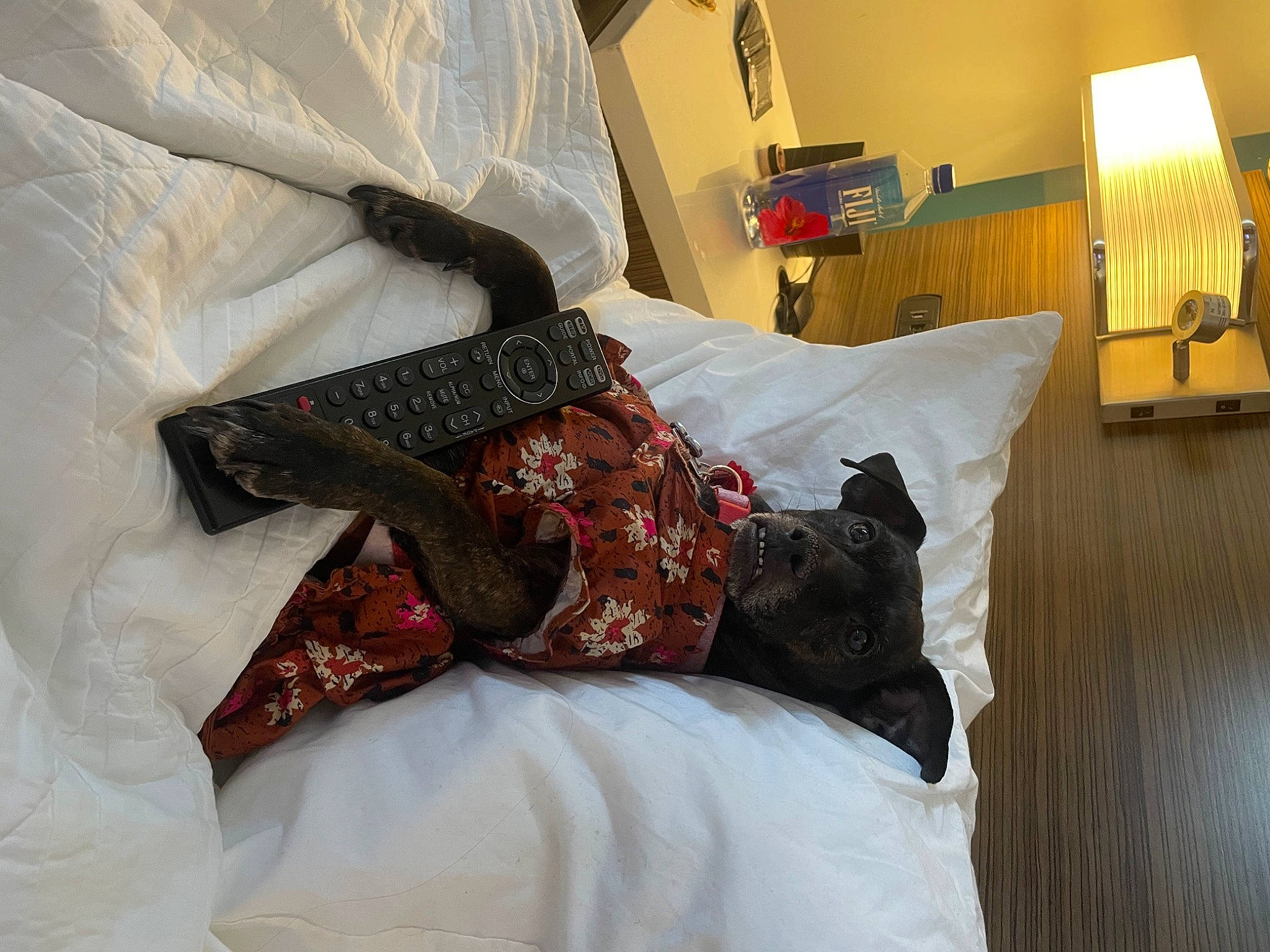 Judy joined the competition — help win amazing prizes! bed, bed_frame, bed_sheet, bedding, bedroom, comfort, couch, duvet, flooring, furniture, grey, hardwood, interior_design, lamp, linens, pattern, pillow, textile, throw_pillow, wood