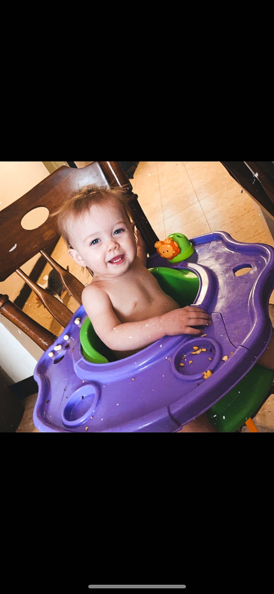 Lilith joined the competition — help win amazing prizes! arm, baby, baby_products, bathing, chair, chest, child, event, flash_photography, fun, happy, head, joy, leisure, magenta, person, play, purple, recreation, sitting