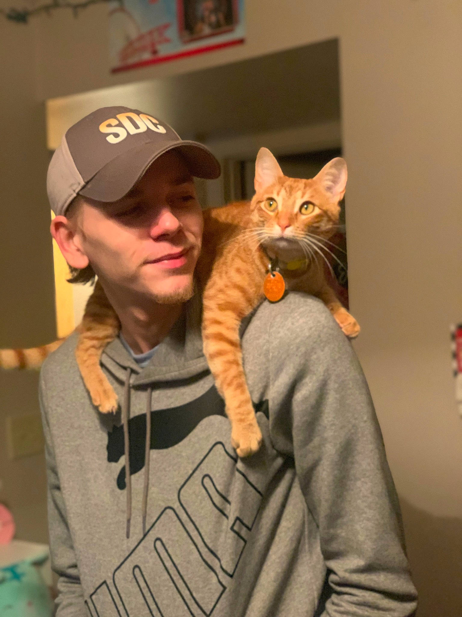 Leo joined the competition — help win amazing prizes! baseball_cap, beard, cap, carnivore, cat, comfort, domestic_short_haired_cat, fawn, felidae, fur, gesture, orange, sitting, small_to_medium_sized_cats, smile, t_shirt, tail, whiskers