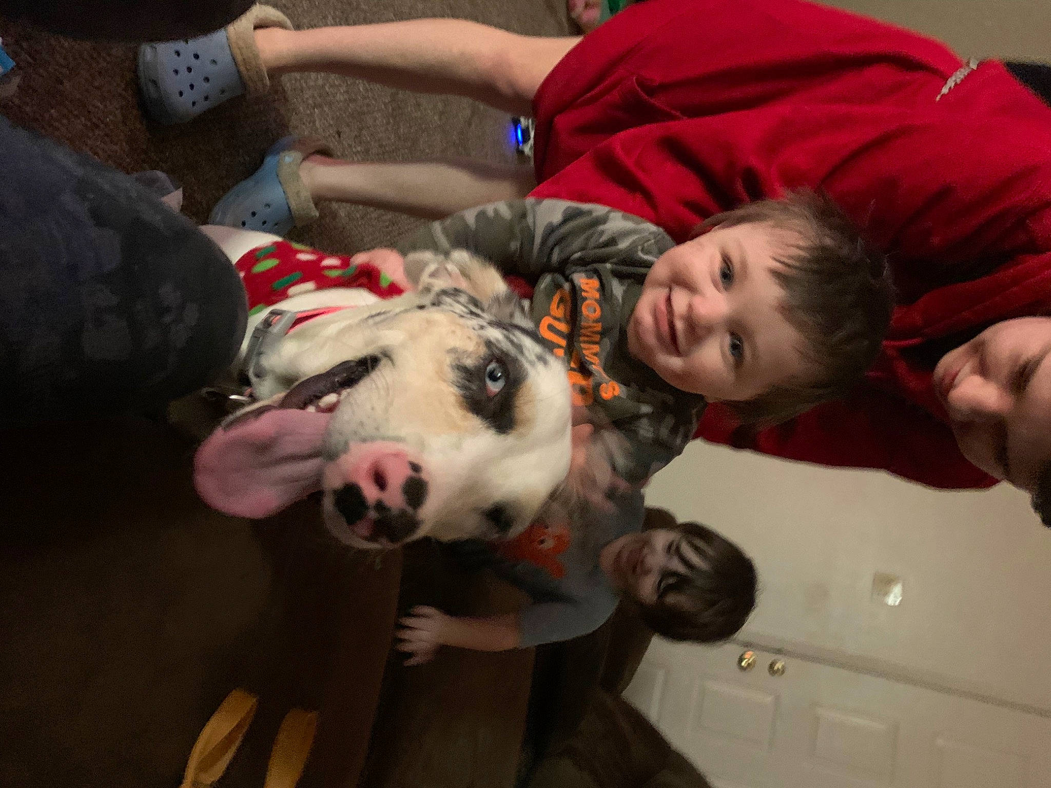 Speckles is registered to the contest to win money with this photo: canidae, carnivore, comfort, companion_dog, dog_breed, event, fawn, fun, fur, happy, leisure, livestock, non_sporting_group, recreation, smile, sporting_group, suidae, t_shirt, terrestrial_animal, toddler