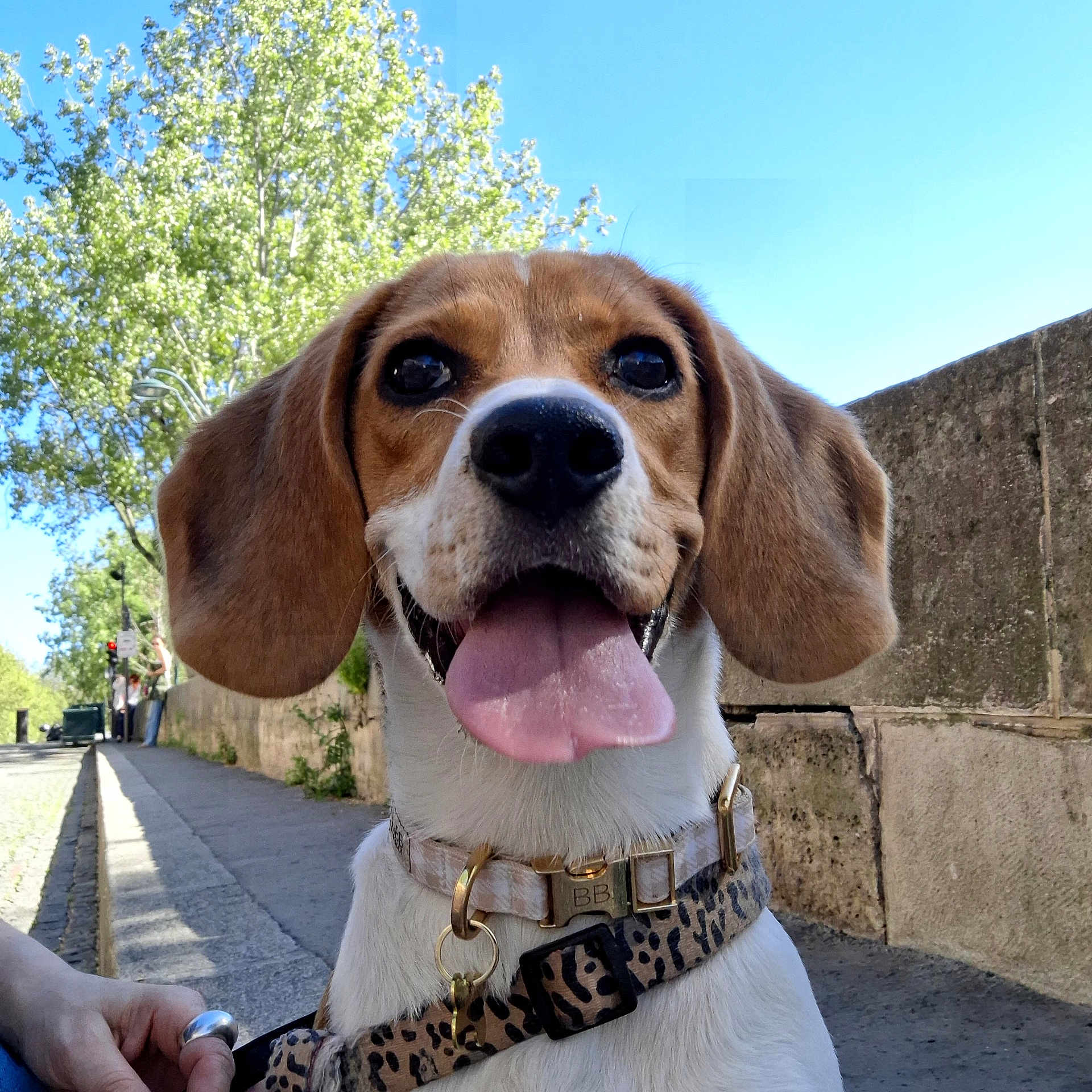 Nala