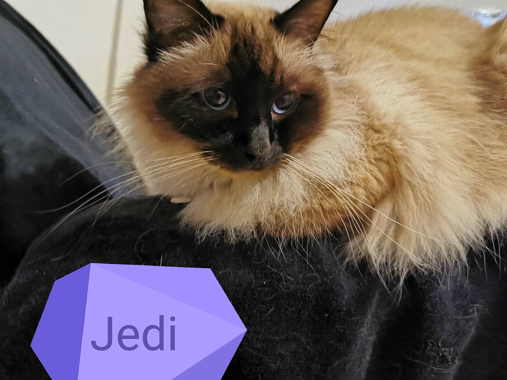 Jedi