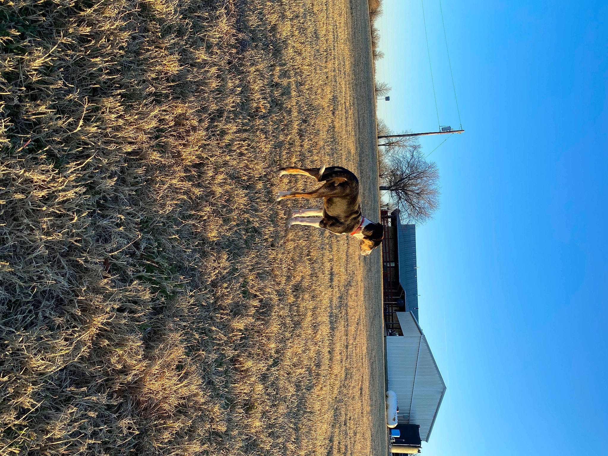 Ace is registered to the contest to win money with this photo: adventure, asphalt, beach, extreme_sport, fun, landscape, leisure, public_utility, recreation, reflection, rock, shadow, sky, slope, soil, sport_climbing, street_light, tree, trunk, wood