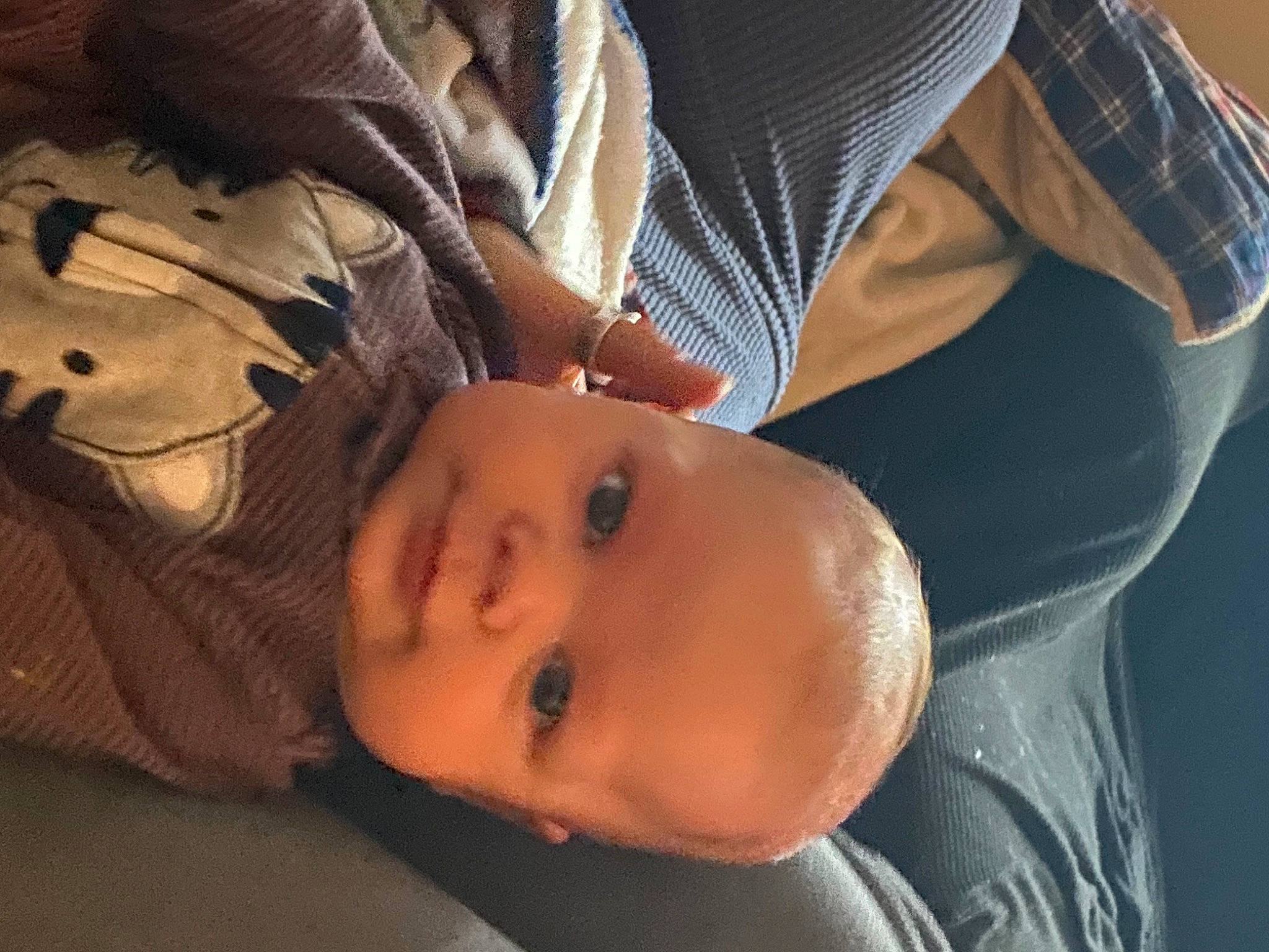 Jaxon joined the competition — help win amazing prizes! abdomen, arm, baby, cheek, chest, child, comfort, fun, gesture, happy, hat, headgear, human_body, mouth, neck, nose, person, room, toddler, tree