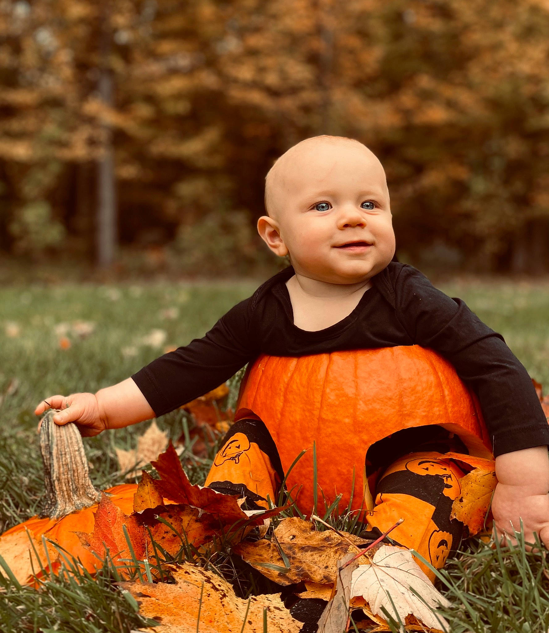 Remington is registered to the contest to win money with this photo: autumn, baby, baby_toddler_clothing, calabaza, deciduous, fun, gourd, grass, happy, joy, natural_foods, orange, people_in_nature, person, plant, pumpkin, sitting, toddler, tree, vegetable