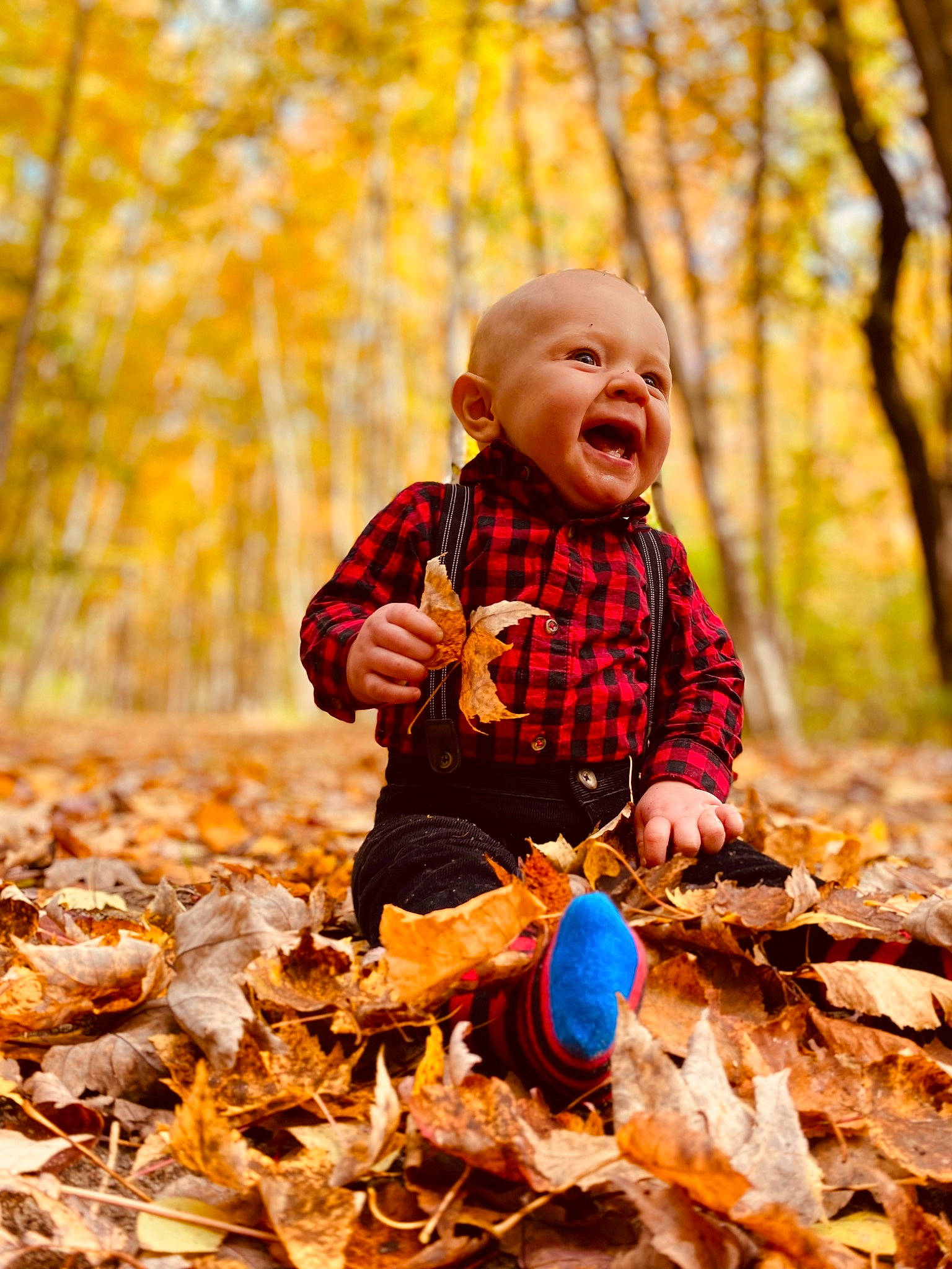Remington joined the competition — help win amazing prizes! baby, child, deciduous, forest, grass, happy, landscape, natural_landscape, orange, people_in_nature, person, plant, portrait_photography, sitting, soil, sunlight, toddler, tree, trunk, wood
