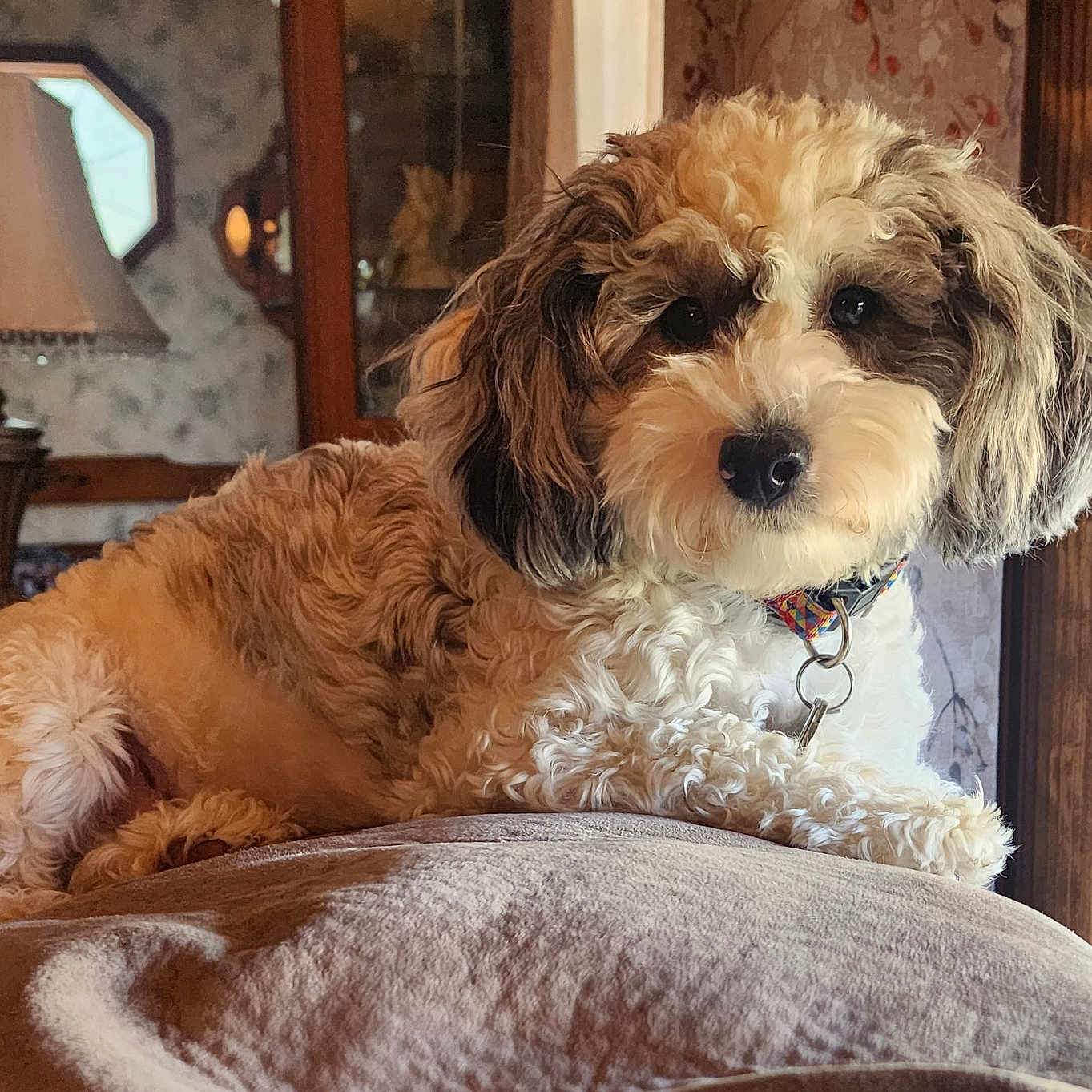 Molly