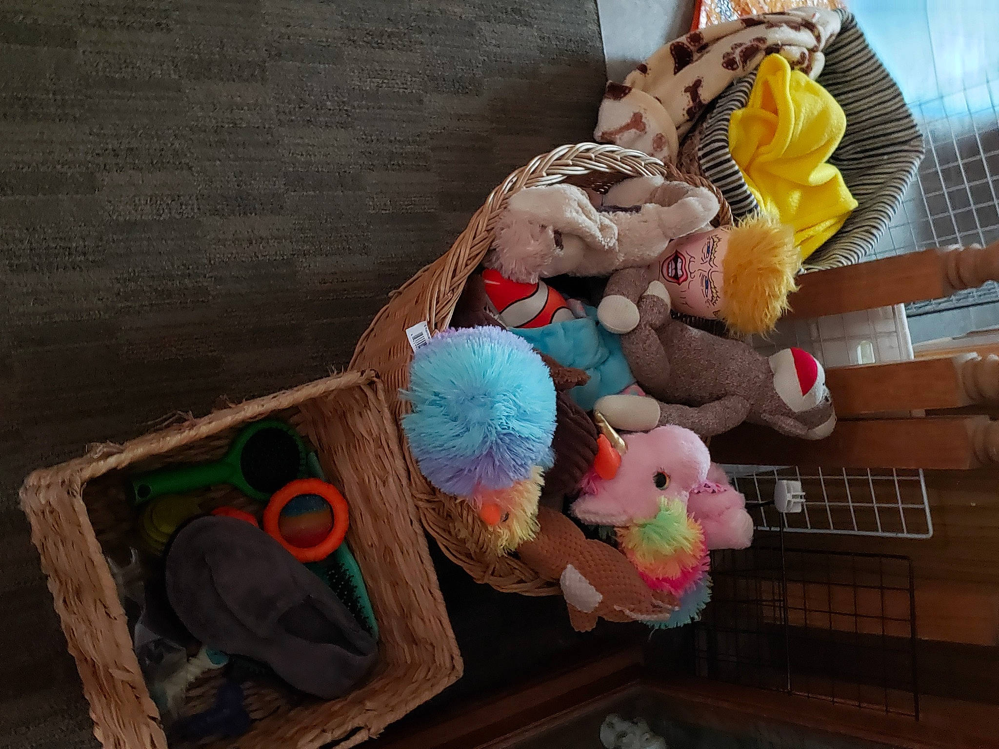 Maxwell is registered to the contest to win money with this photo: animation, art, fun, fur, plush, room, sculpture, stuffed_toy, toy, visual_arts, wood, world