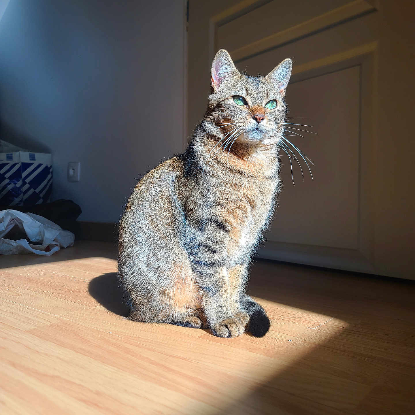 Yuka