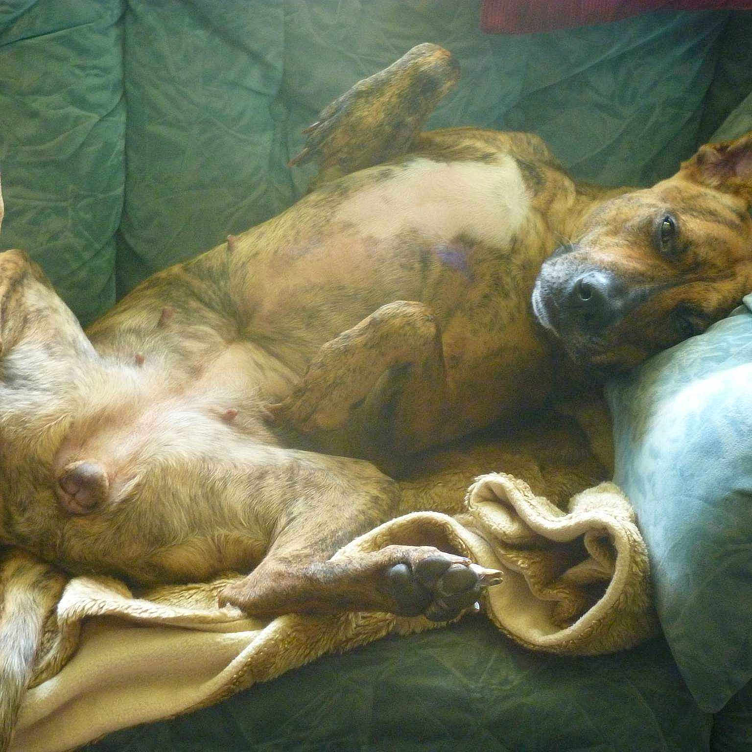 Lola is registered to the contest to win money with this photo: