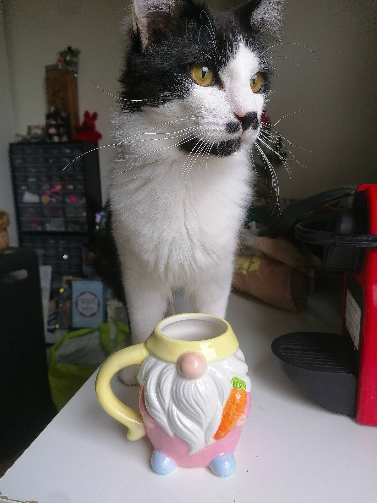 Java participe au concours pour gagner de l'argent avec cette photo : animal, black_and_white, cat, ceramic_mug, close_up, coffee_machine, curious, cute, decor, domestic_animal, feline, gnome_mug, household_items, indoor, kitchen_appliance, pet, portrait, table, whiskers, yellow_eyes