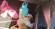 Cairo is registered to the contest to win money with this photo: dog, car, footwell, water_bottle, pink_crocs, sunlight, sleeping, fluffy, small_dog, interior, seat, leather, shadow, diaper, resting, pet, cozy, relaxing, daylight, vehicle