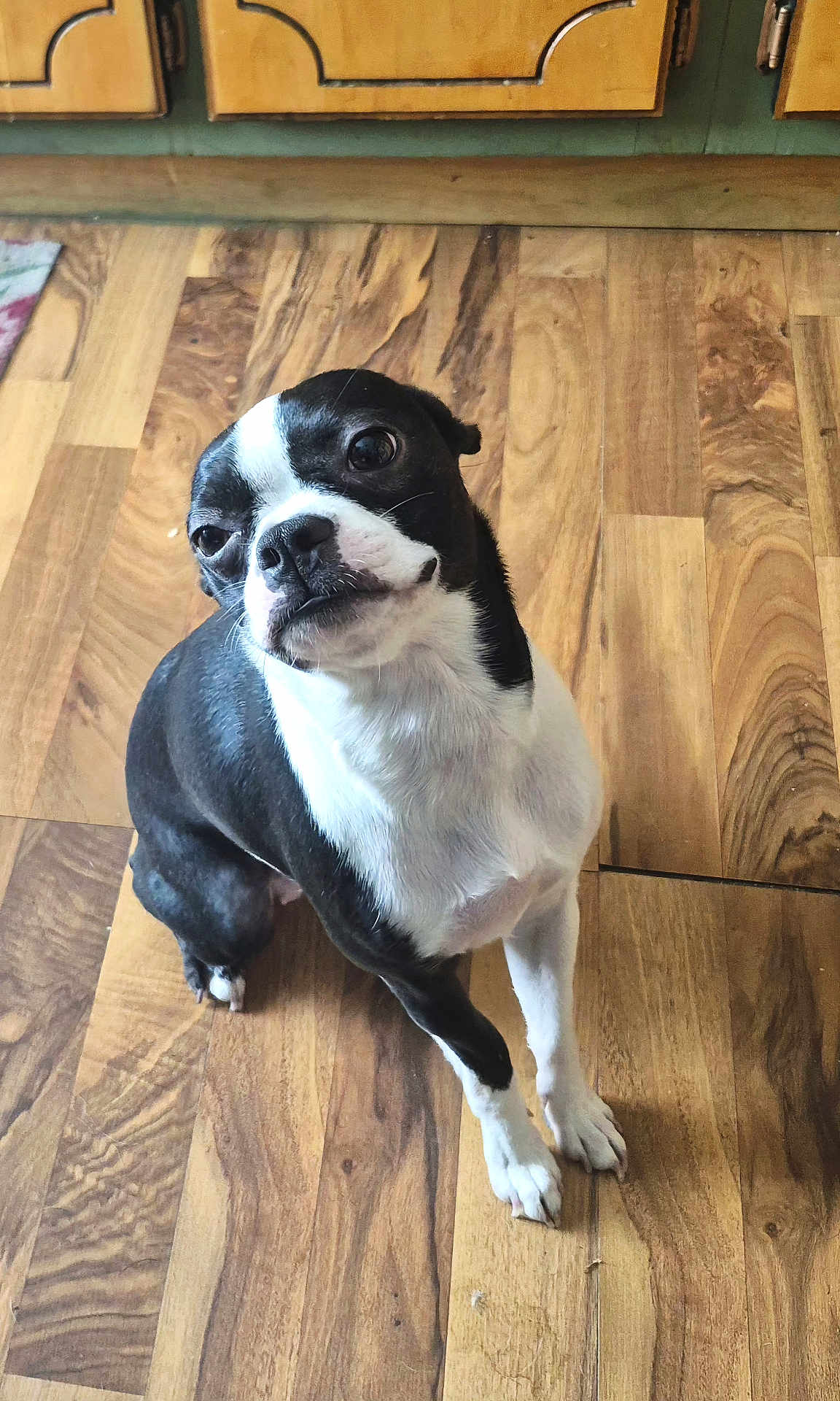 Molly