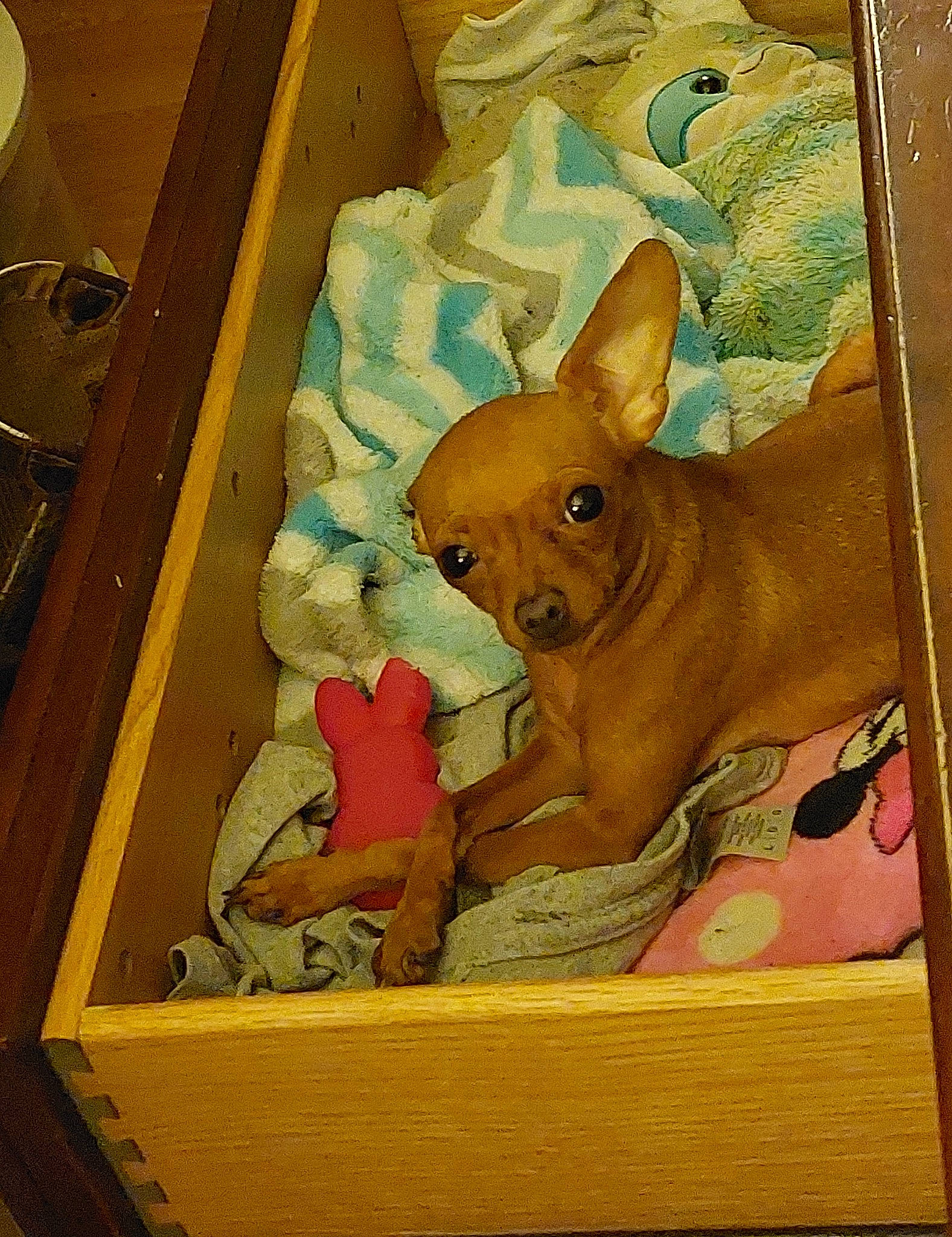 Chevelle joined the competition — help win amazing prizes! animation, art, canidae, deer, drawing, fawn, fictional_character, hare, illustration, paint, painting, rabbit, rabbits_and_hares, snout, tail, terrestrial_animal, toy_dog, visual_arts, wood, working_animal