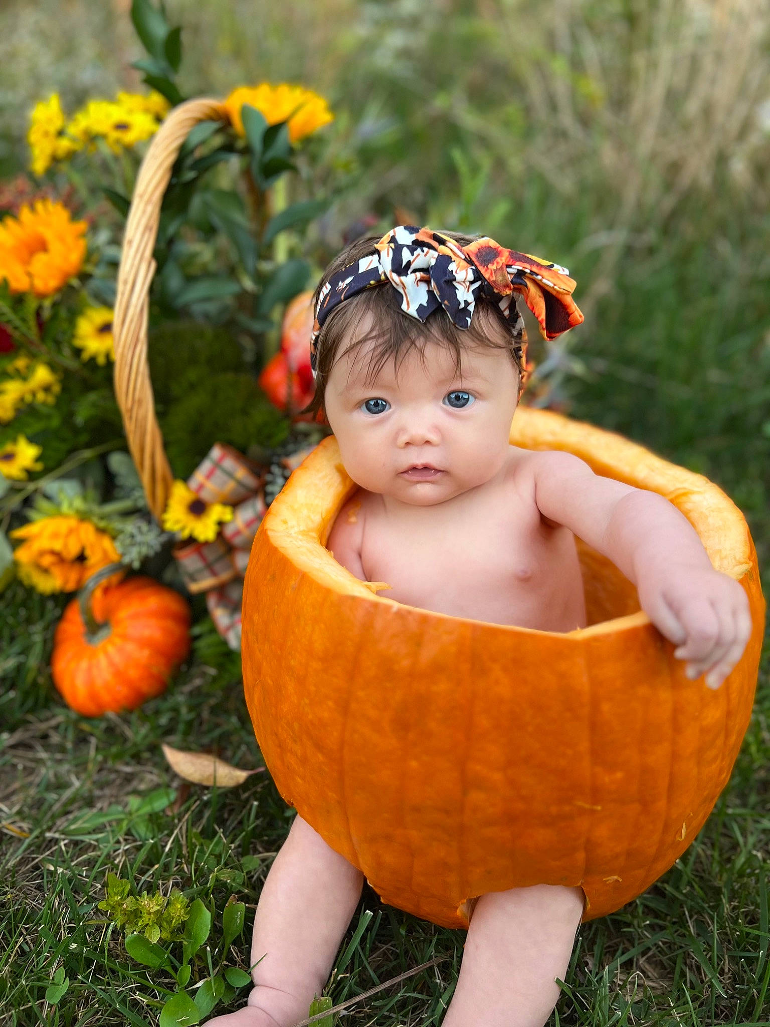 Blakely is registered to the contest to win money with this photo: baby, baby_toddler_clothing, botany, calabaza, cucurbita, dress, gourd, grass, happy, head, leaf, natural_foods, orange, people_in_nature, person, plant, pumpkin, toddler, winter_squash, wood
