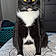 Salem