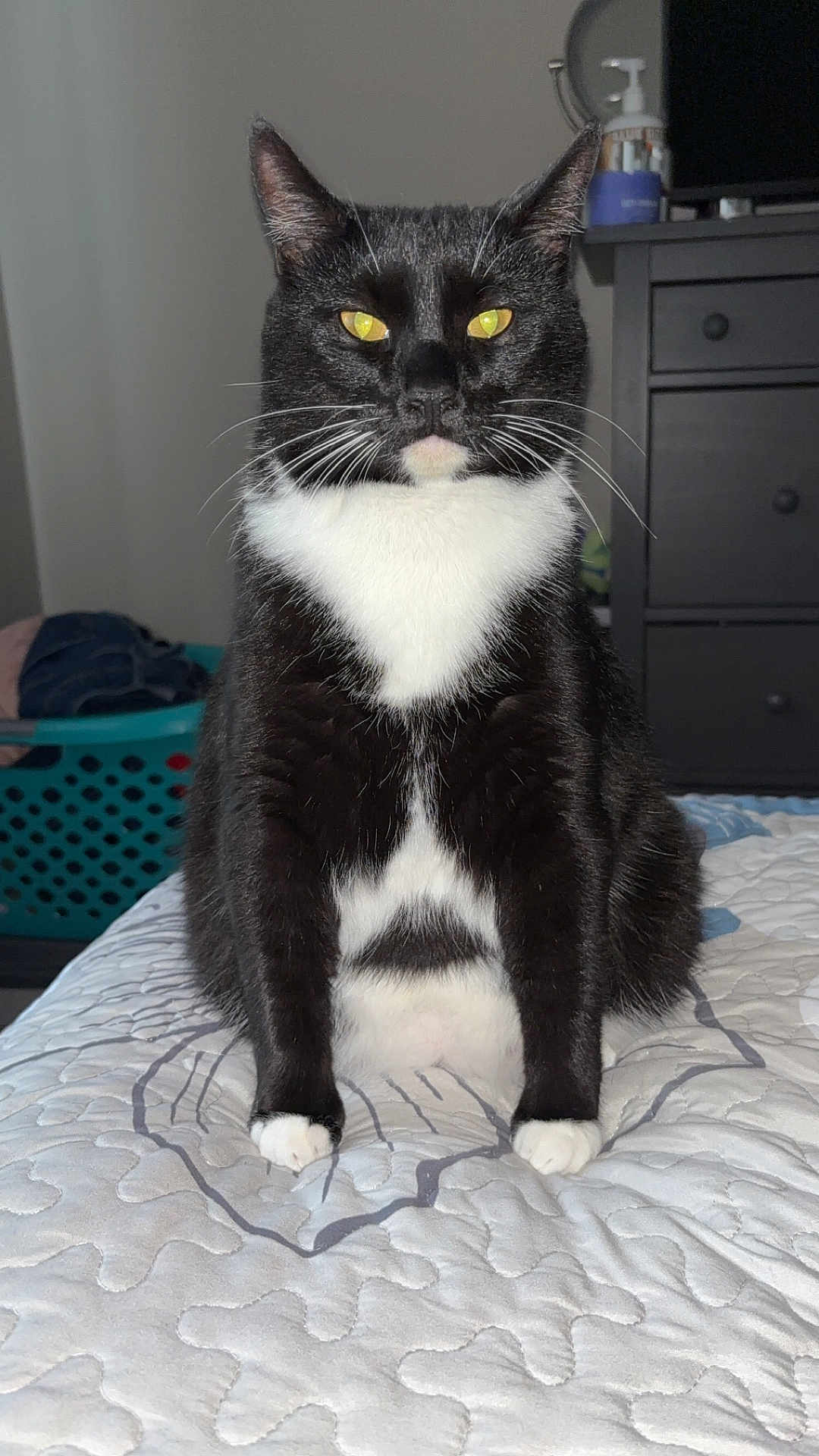 Salem