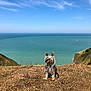 Jules a rejoint le concours — aidez-le/la à gagner de superbes lots ! dog, small_dog, yorkshire_terrier, cliff, ocean, sea, blue_sky, grass, dry_grass, nature, outdoor, pet, fur, animal, calm, sunny, scenic, landscape, coast, wildflowers