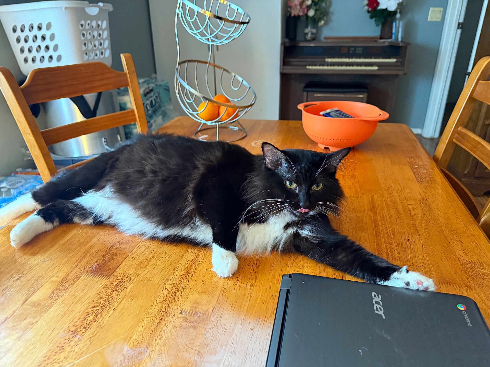 Oreo