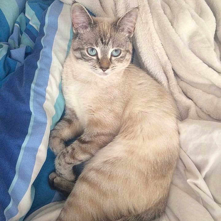 Skye