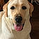 Charlie