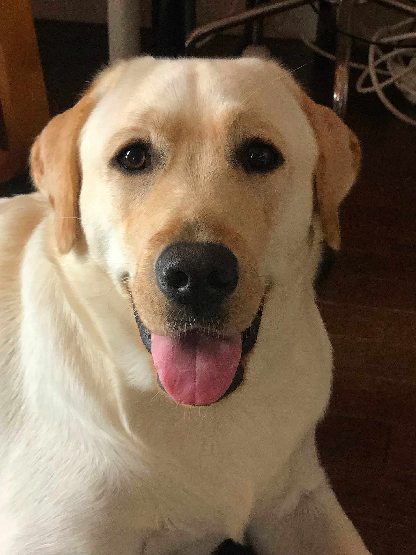Charlie