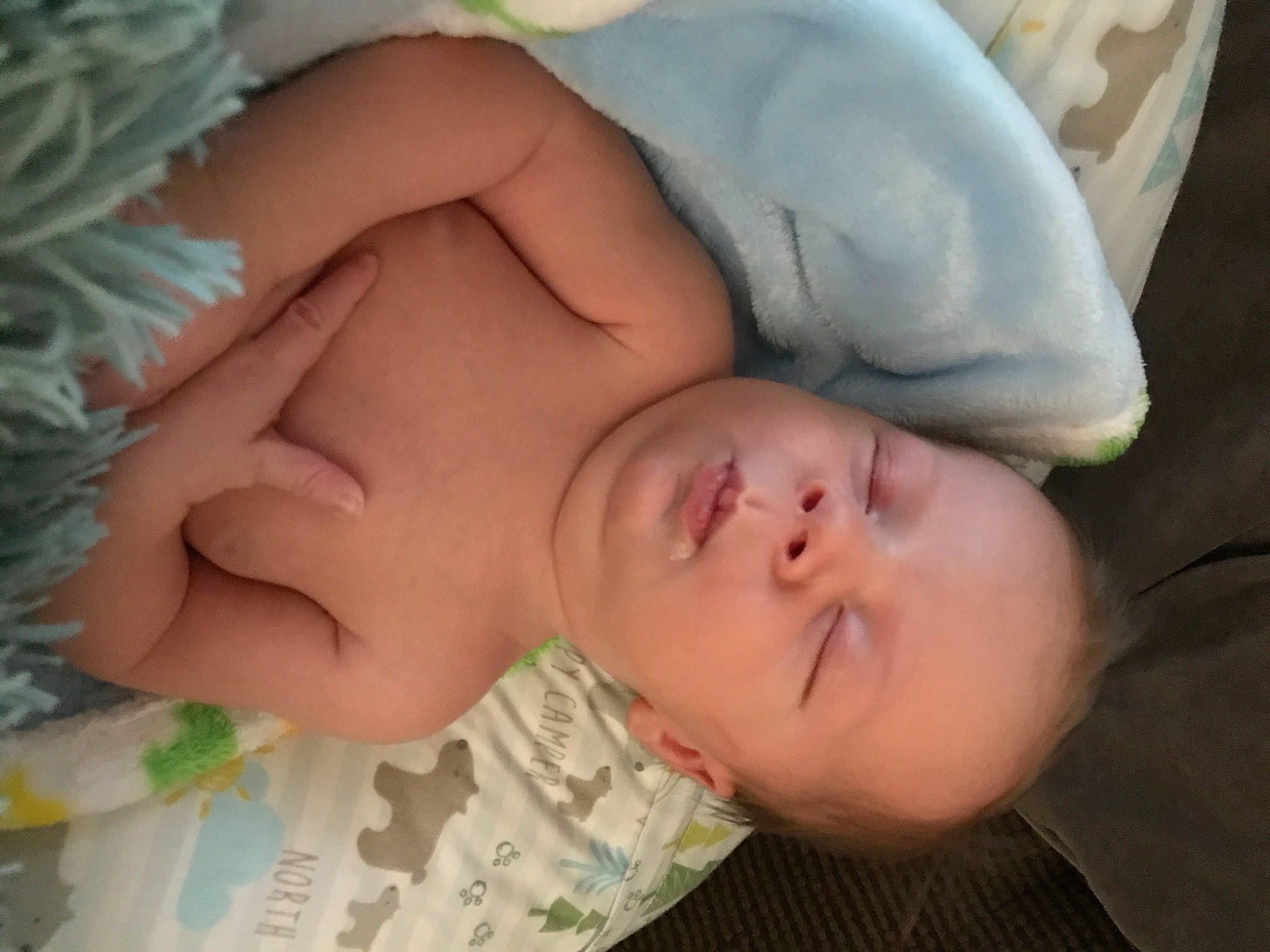 Kelton joined the competition — help win amazing prizes! baby, baby_sleeping, bedtime, cheek, child, ear, eye, face, finger, forehead, hand, head, lip, mouth, nap, nose, person, skin, sleep, thumb