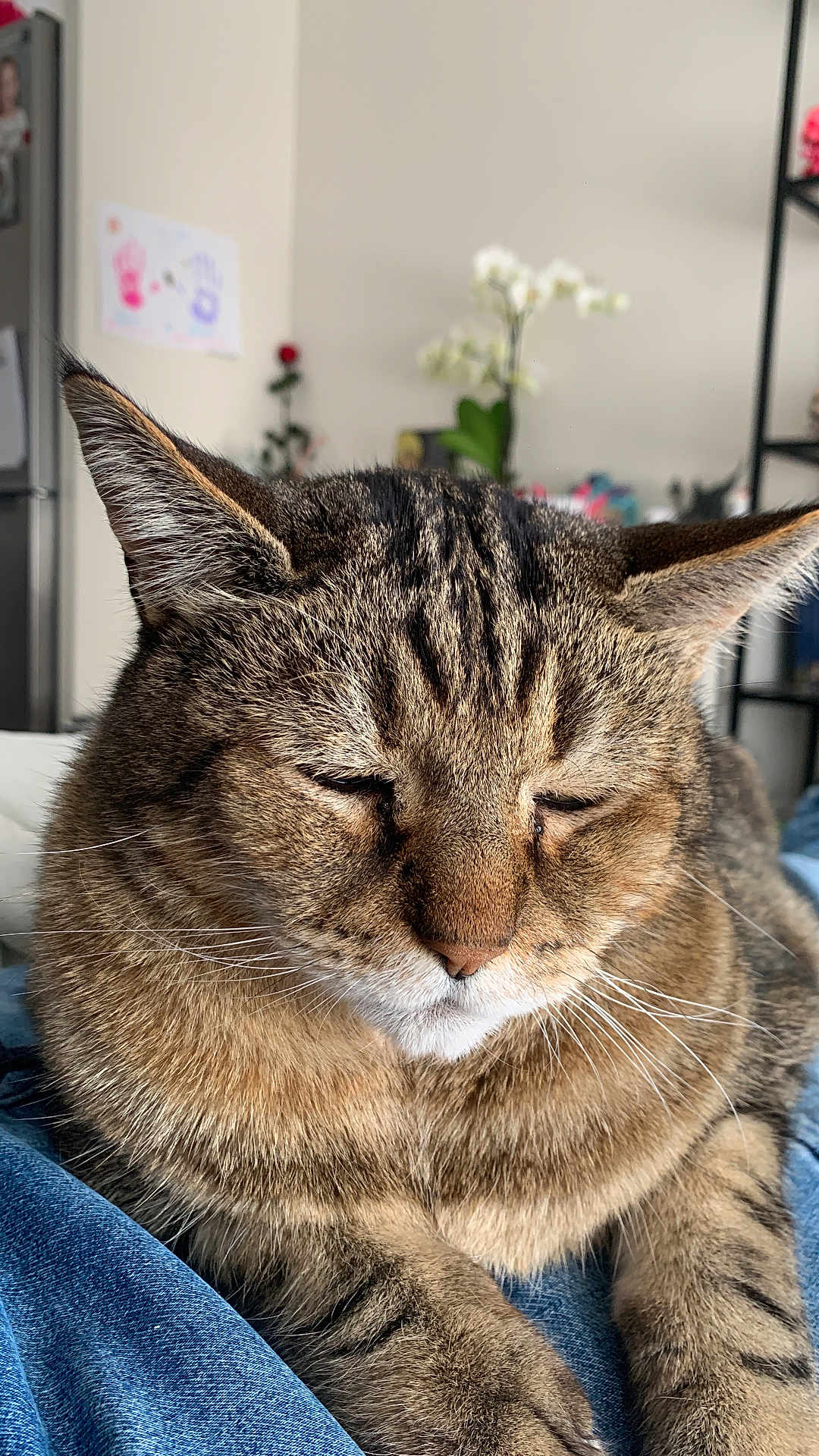 Coco