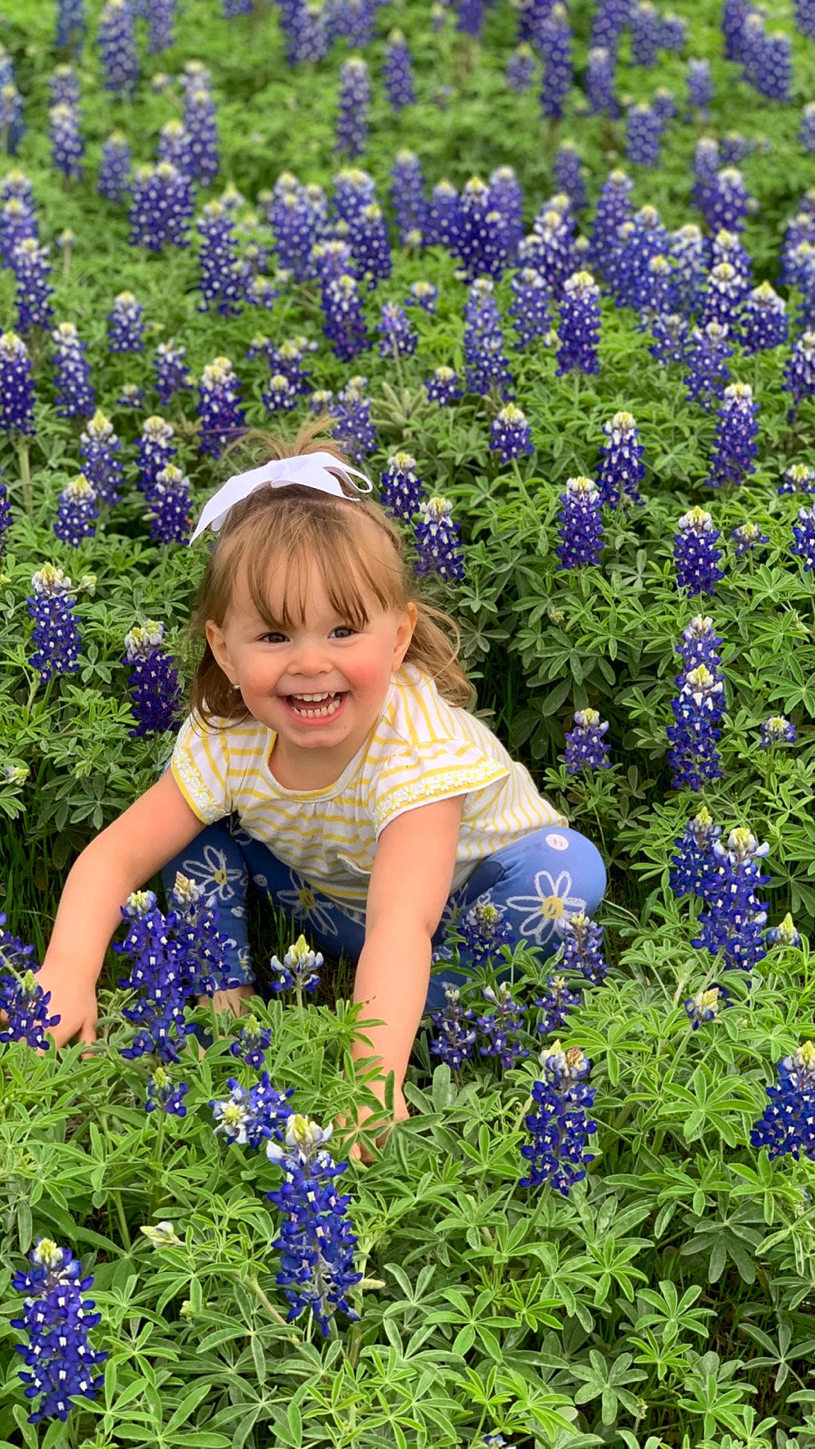 Waylynn joined the competition — help win amazing prizes! blue, botany, electric_blue, flower, flowering_plant, grass, green, groundcover, happy, herbaceous_plant, iris, joy, meadow, natural_environment, nature, people_in_nature, person, photograph, plant, purple