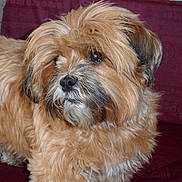 Zina participe au concours pour gagner de l'argent avec cette photo :