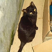 Coumal participe au concours pour gagner de l'argent avec cette photo :