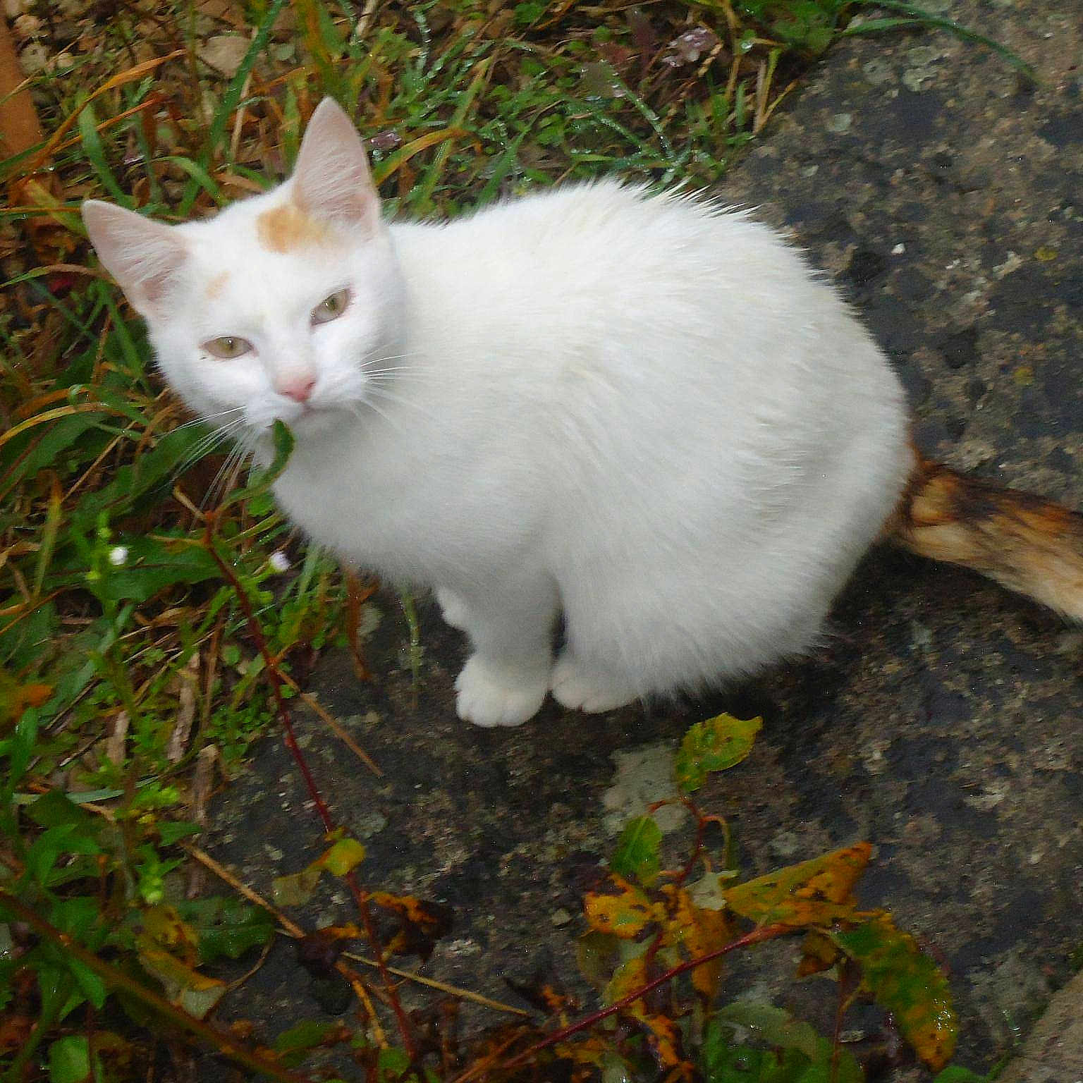 Ouatek participe au concours pour gagner de l'argent avec cette photo :