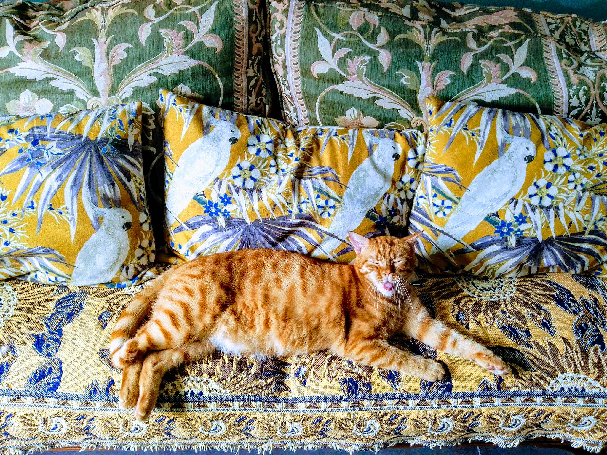Georges participe au concours pour gagner de l'argent avec cette photo : bedding, carnivore, cat, comfort, couch, domestic_short_haired_cat, fawn, felidae, fur, grass, linens, nap, pattern, rectangle, small_to_medium_sized_cats, tail, terrestrial_animal, textile, whiskers, wood