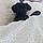 Berlioz