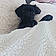 Berlioz