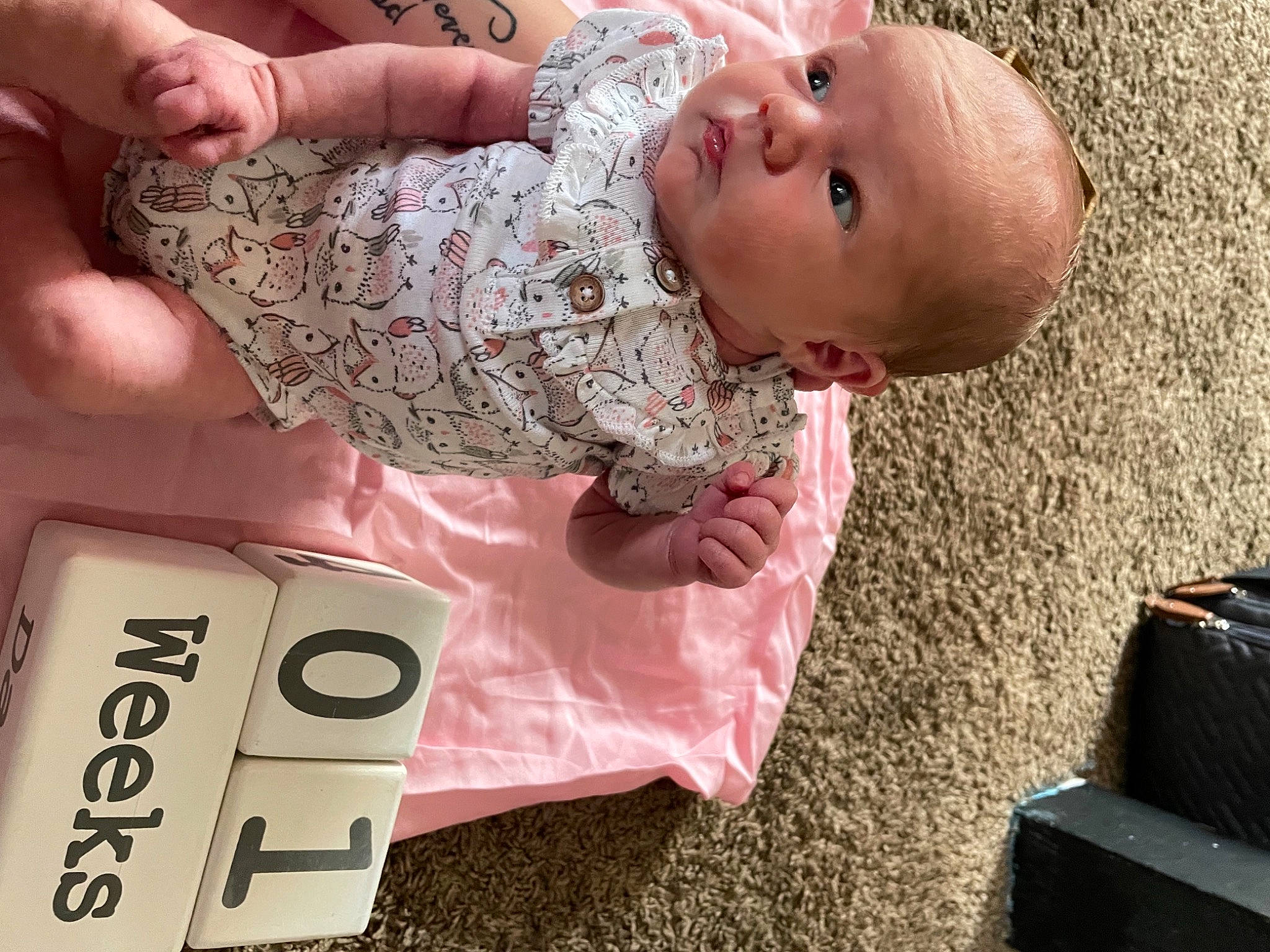 Brooklynne joined the competition — help win amazing prizes! arm, baby, baby_toddler_clothing, bag, child, finger, font, fun, hand, happy, luggage_and_bags, nail, pattern, person, photograph, pink, skin, snapshot, thigh, toddler