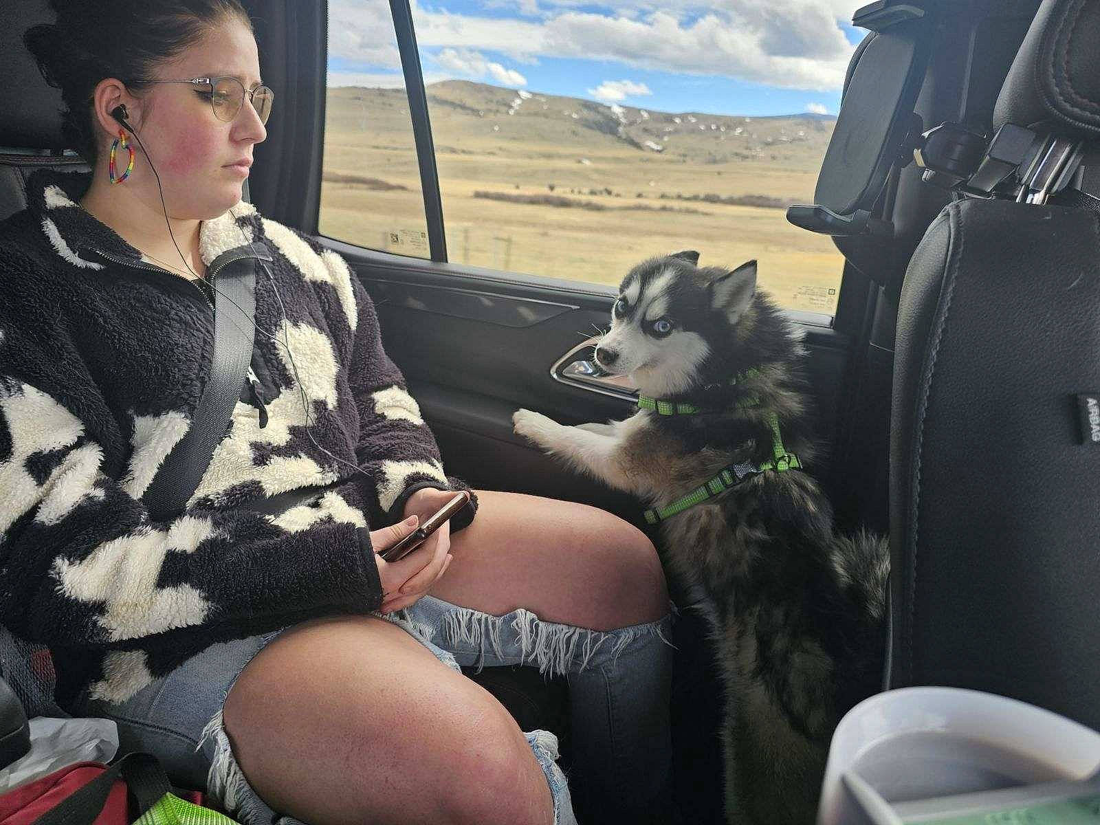 Reggie joined the competition — help win amazing prizes! auto_part, automotive_design, automotive_exterior, car, car_seat, car_seat_cover, carnivore, family_car, head_restraint, human_leg, motor_vehicle, personal_luxury_car, plant, sky, steering_wheel, thigh, travel, vehicle, vehicle_door, vertebrate