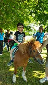 Lenny a rejoint le concours — aidez-le/la à gagner de superbes lots ! animal_sports, blurred, bridle, english_riding, equestrian_helmet, equestrian_sport, equestrianism, equitation, grass, horse, horse_supplies, horse_tack, landscape, leisure, mane, pack_animal, person, recreation, rein, saddle