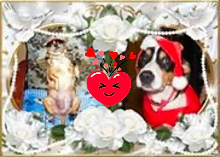 Diane participe au concours pour gagner de l'argent avec cette photo : art, canidae, carnivore, collar, companion_dog, cut_flowers, dishware, dog, dog_breed, dog_collar, dog_supply, fawn, font, painting, pattern, petal, picture_frame, recipe, rectangle, working_animal