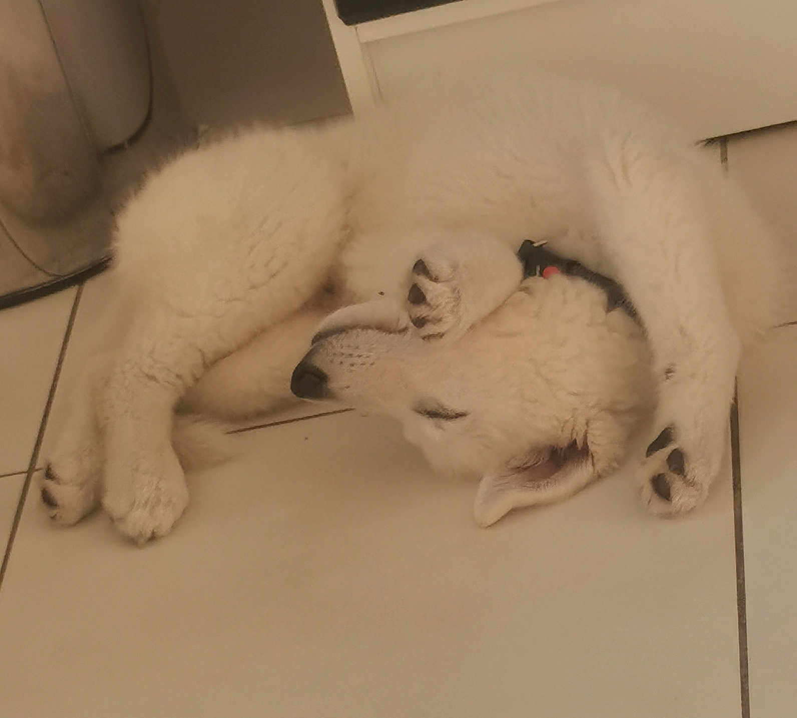 Hiro