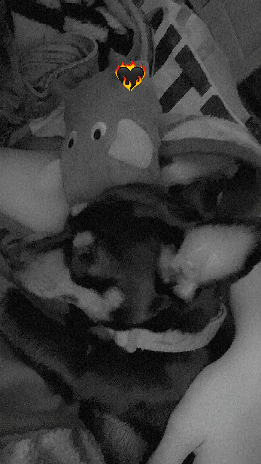 Tynna a rejoint le concours — aidez-le/la à gagner de superbes lots ! abdomen, art, carmine, chest, elbow, fictional_character, flesh, font, fun, gesture, human_leg, knee, monochrome, monochrome_photography, still_life_photography, stuffed_toy, toy, trunk, visual_arts, whiskers