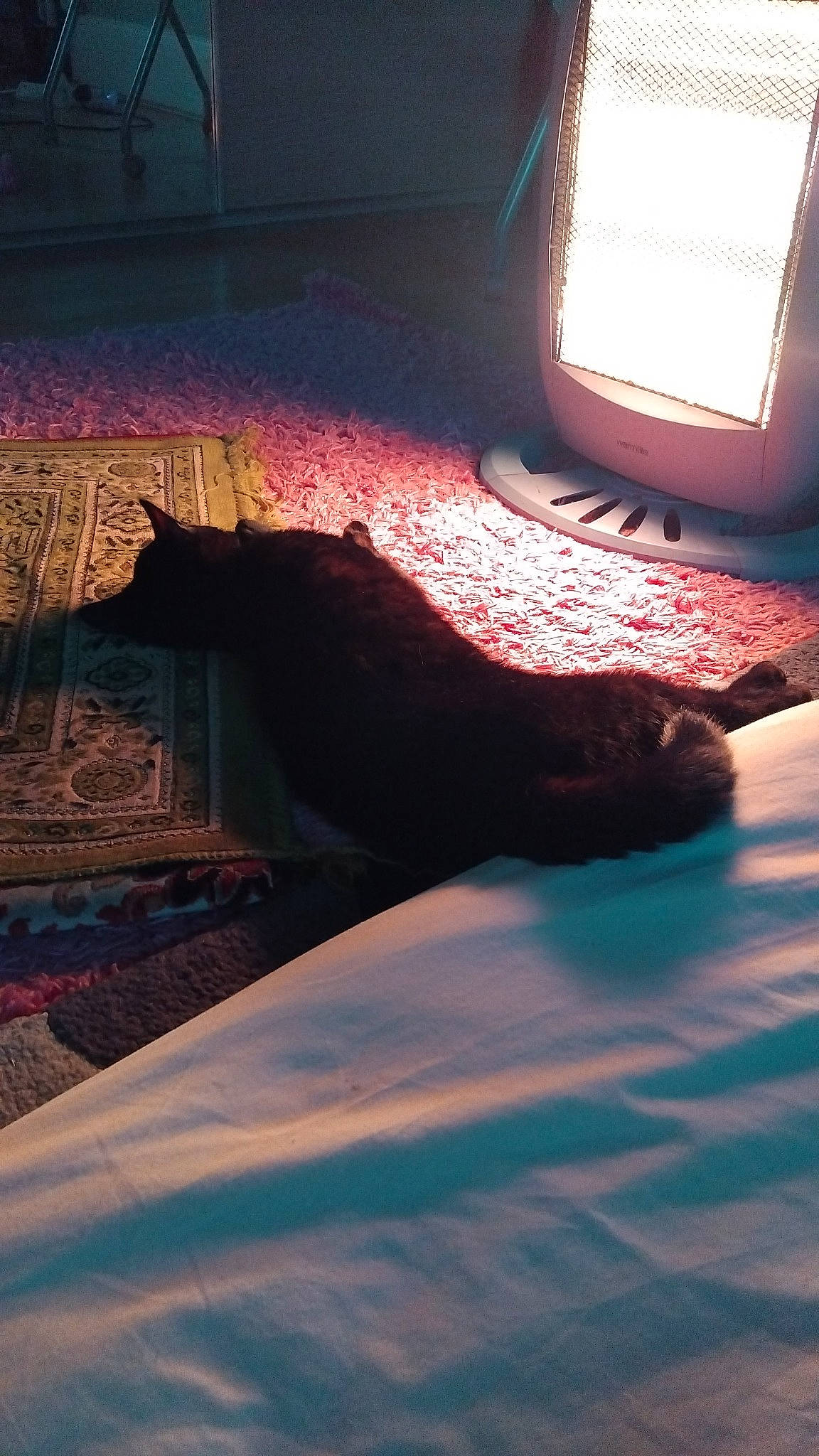 Tomy joined the competition — help win amazing prizes! bed_sheet, bedding, comfort, darkness, electric_blue, floor, flooring, heat, horizon, human_leg, linens, pattern, rock, room, shadow, sky, sunlight, tints_and_shades, winter, wood