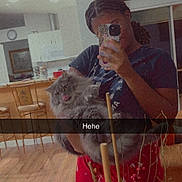 Lion joined the competition — help win amazing prizes! person, cat, mirror_selfie, phone, leopard_print, red_pants, home_interior, kitchen, wood_floor, decorative_sticks, berries, long_hair, braids, gray_cat, tongue_out, furniture, chair, table, casual_clothing, reflection