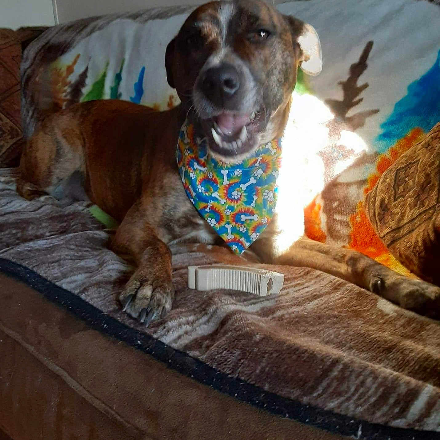 Remington