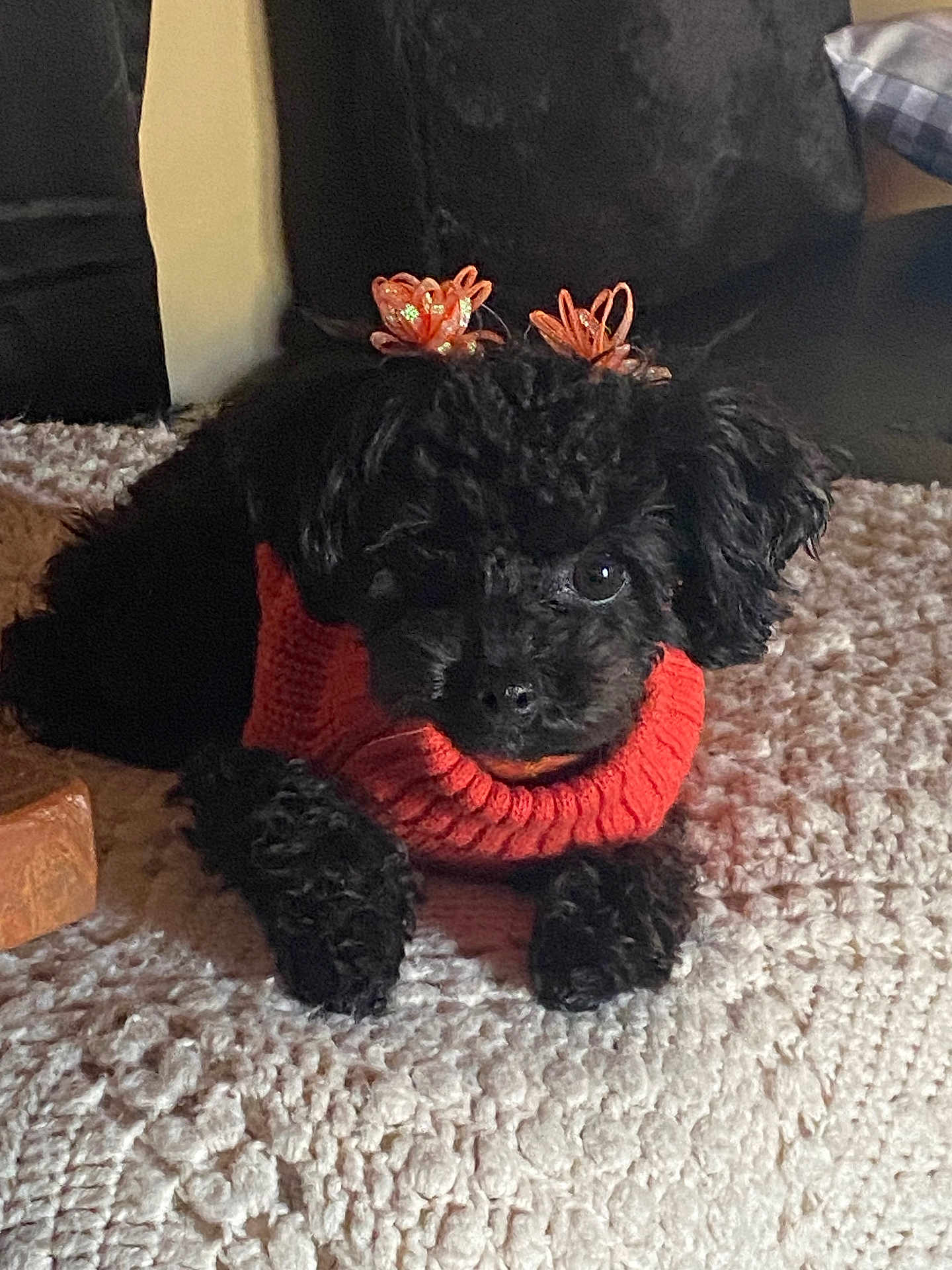 Coco