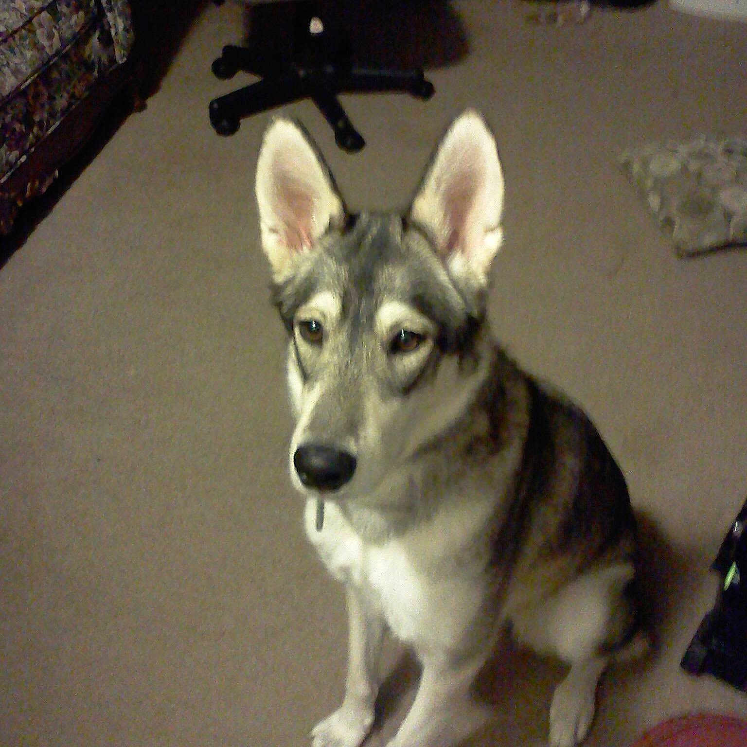 Luna